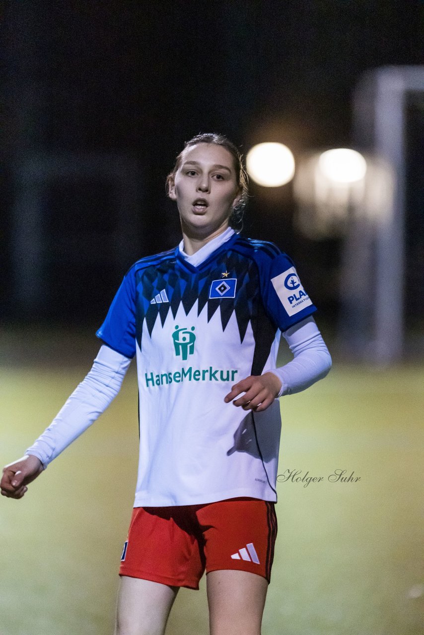 Bild 117 - F SC Alstertal-Langenhorn - Hamburger SV 3 : Ergebnis: 2:2